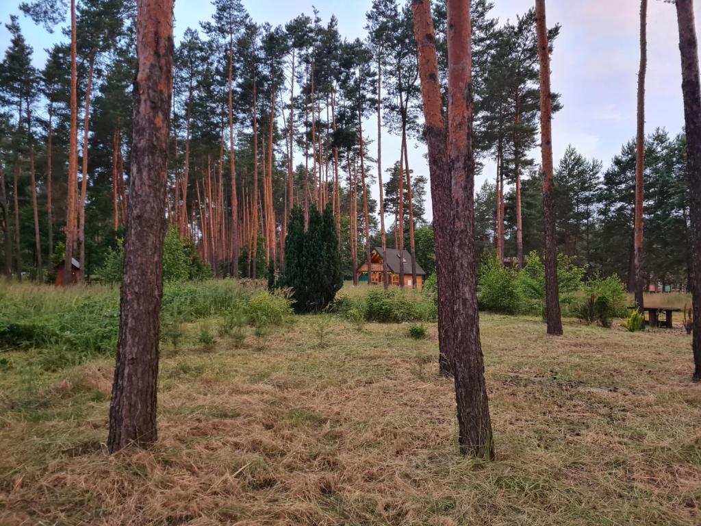 Príroda v okolí dovolenkového domu