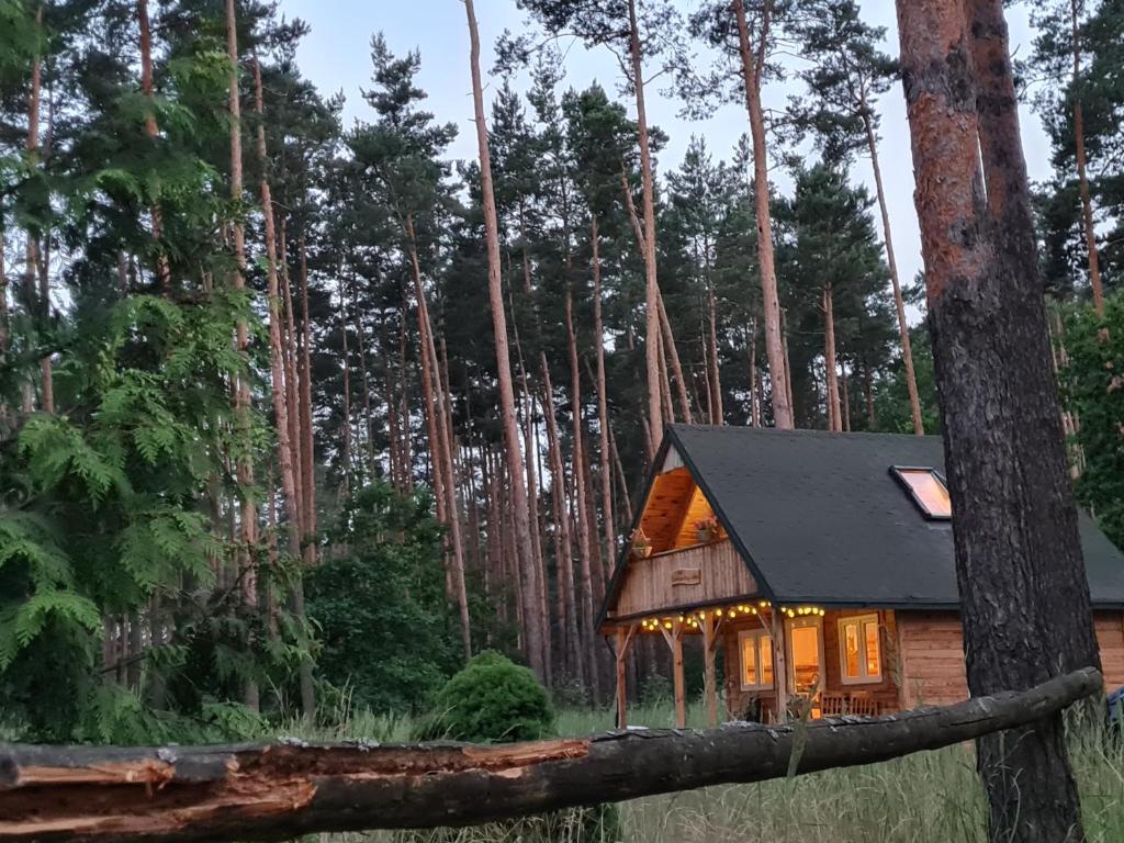 a log cabin in the middle of a forest at Pod Czarnym Dzięciołem - dom z widokiem i prywatną balią in Mazówki