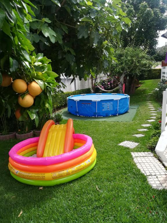 a group of colorful frisbees sitting on the grass at O Nosso Cantinho in Louriçal