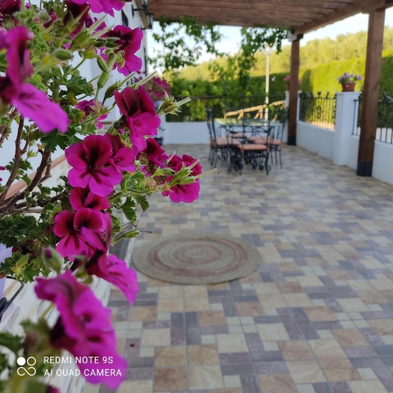 La Casa De La Abuela - 3