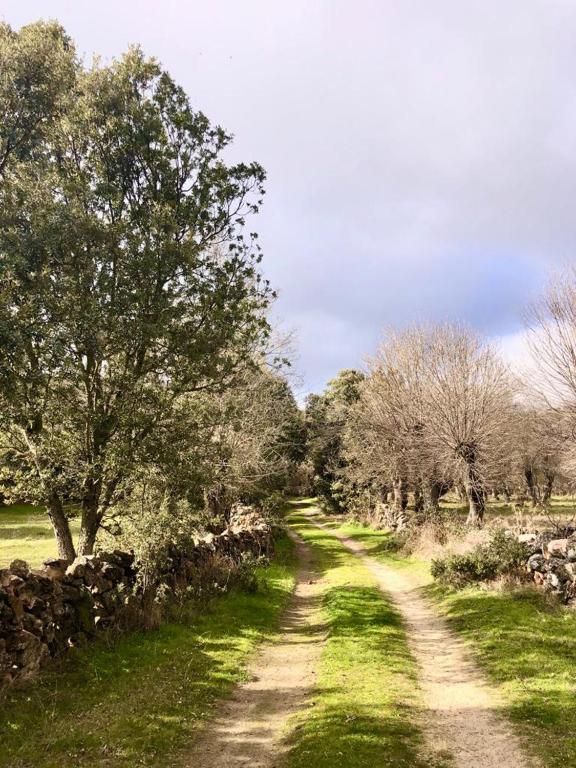 El pajar de abajo - Pedraza - - Maison De Vacances