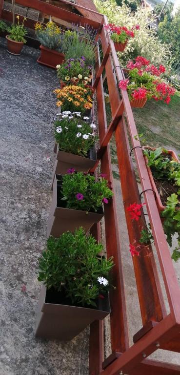 Zahrada ubytování Apartmani Ilić