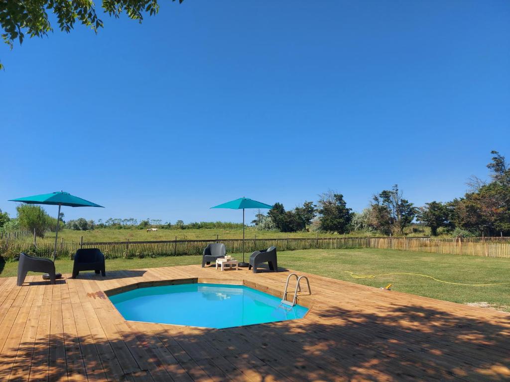 a swimming pool with patio furniture and umbrellas at Mas Constantin in Salin-de-Giraud