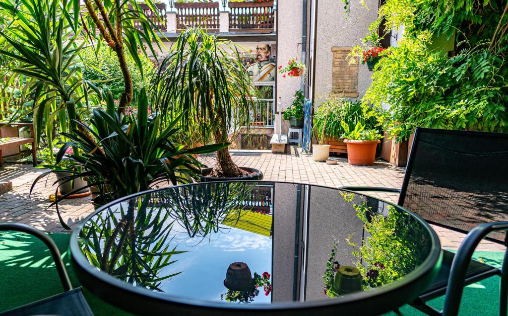 une table en verre reflétant une terrasse ornée de plantes dans l'établissement Pension Borna, à Borna