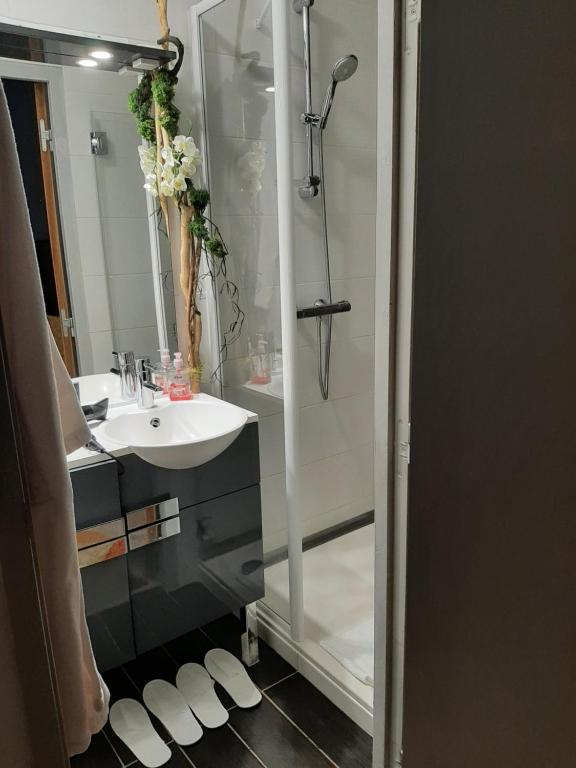Hotel Régina - Single Room