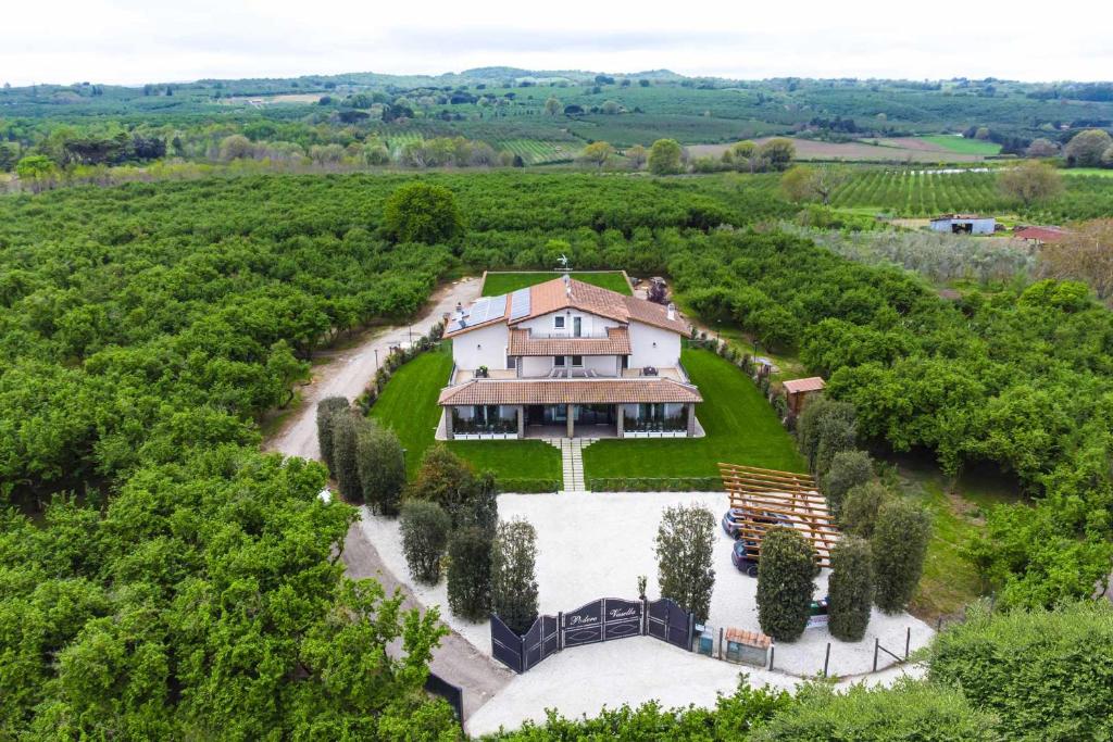 een luchtzicht op een huis in een wijngaard bij Suite junior in Capranica