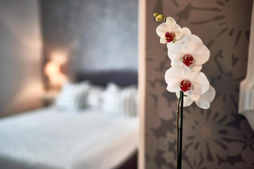 Hotel Clodia - Adults Only - 4