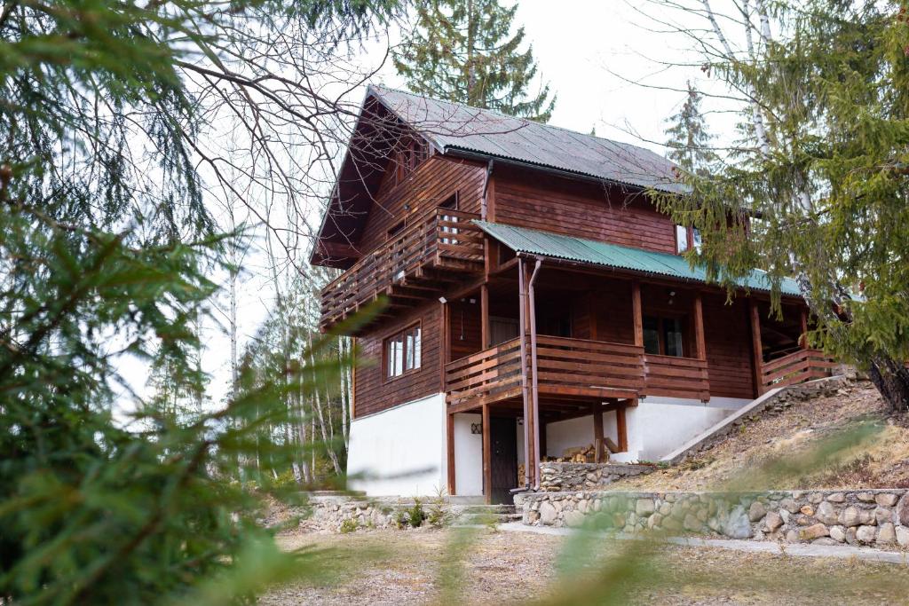 duży drewniany dom na szczycie wzgórza w obiekcie Hill Chalet w mieście Beliş