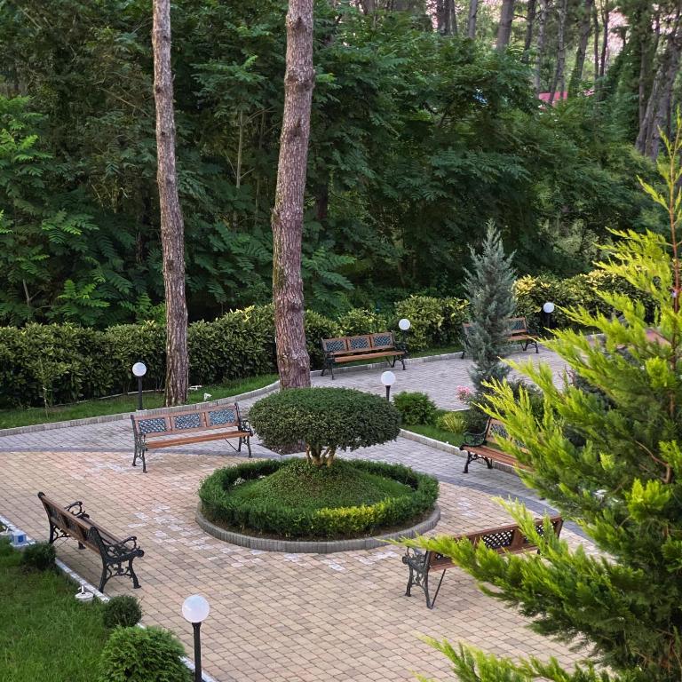 Zahrada ubytování Buxus Hotel Shekvetili
