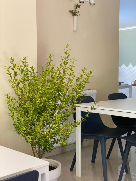 Fotografie z fotogalerie ubytování Buxus Hotel Shekvetili v destinaci Šekvetili