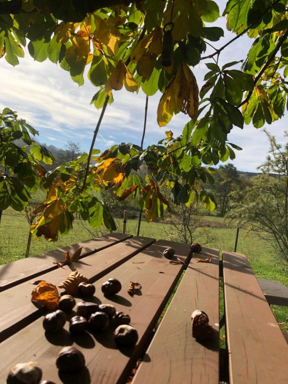 Ferienwohnung am Hochrhöner - Apartamento Con Vista Al Jardín