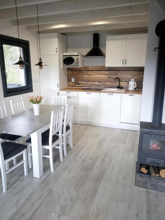 Kuchyň nebo kuchyňský kout v ubytování Domek na Kaszubach, Borowy Młyn, jezioro Gwiazda, sauna, 4