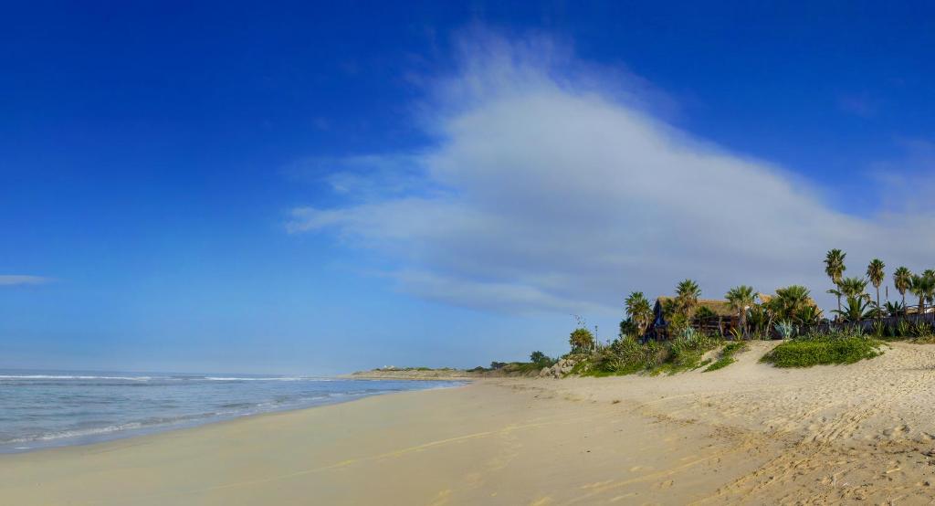 uma praia arenosa com palmeiras e o oceano em Habitaciones Sajorami Beach em Zahora