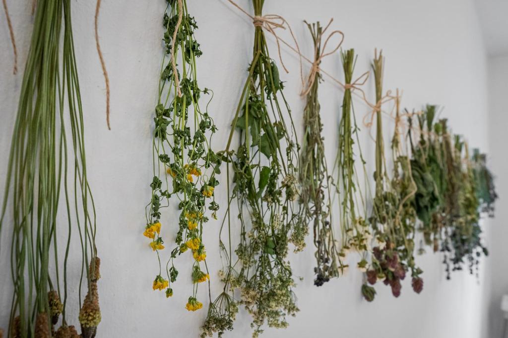 Penzion U Babky bylinkářky - 11