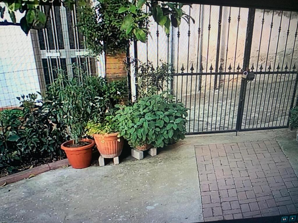 Vonkajšia záhrada v ubytovaní B&B IV Vico