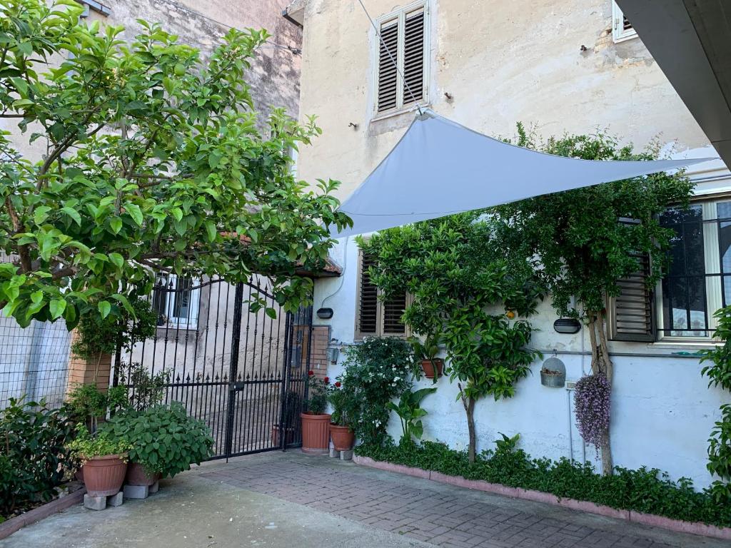 Vonkajšia záhrada v ubytovaní B&B IV Vico