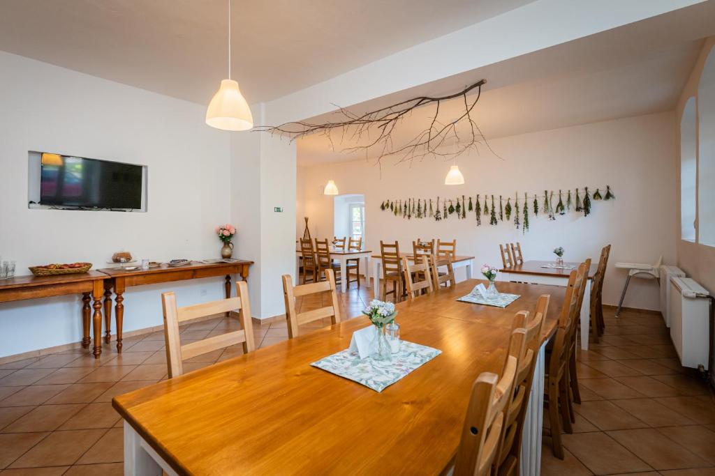 Penzion U Babky bylinkářky - 12