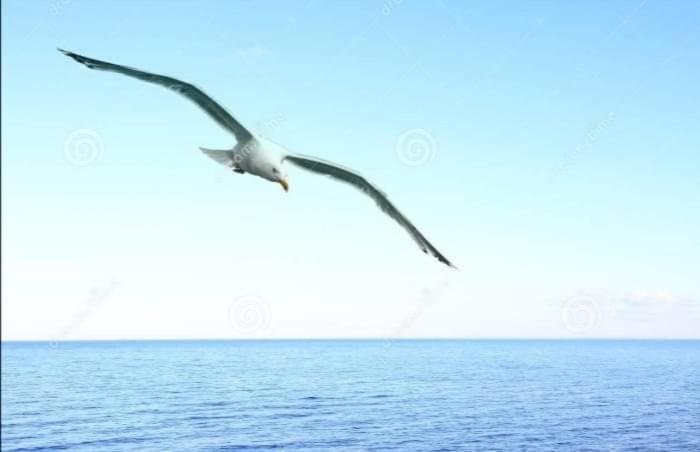 Gallery image of Уютный домик 133 причал. in Odesa