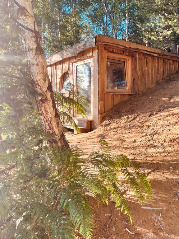 Boutique Glamping Divja DiVine - 