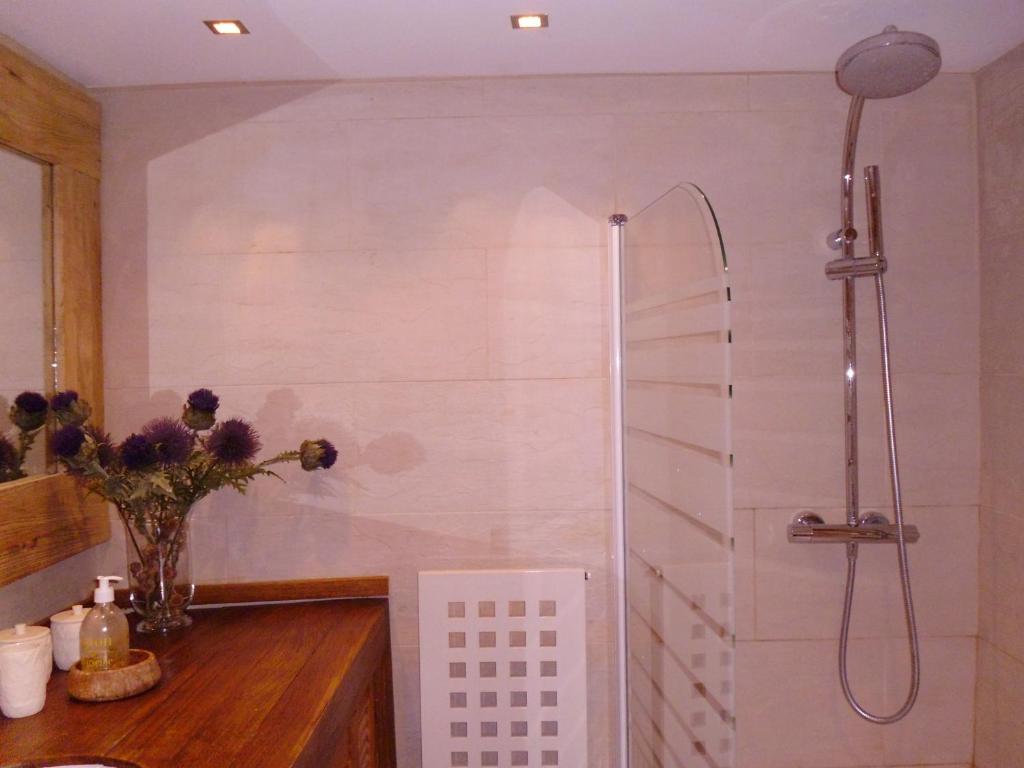 a bathroom with a shower and a vase of flowers at Petit Ours in Villars-sur-Ollon