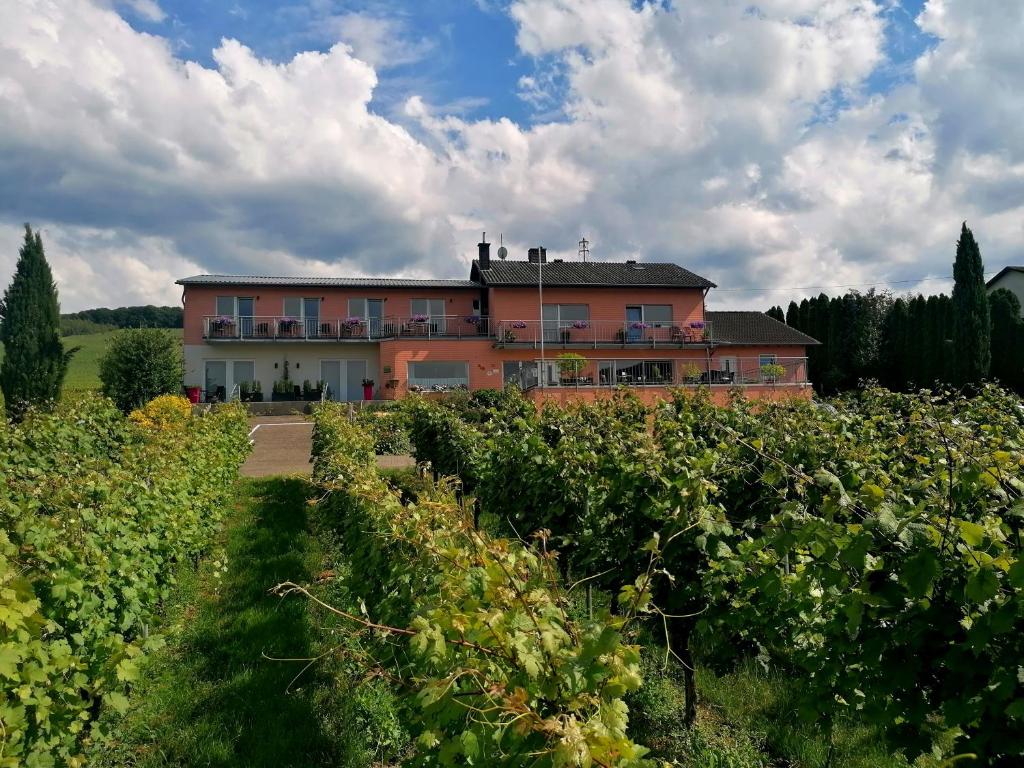 a house in the middle of a field of vines at Weingut Tiliahof in Brauneberg