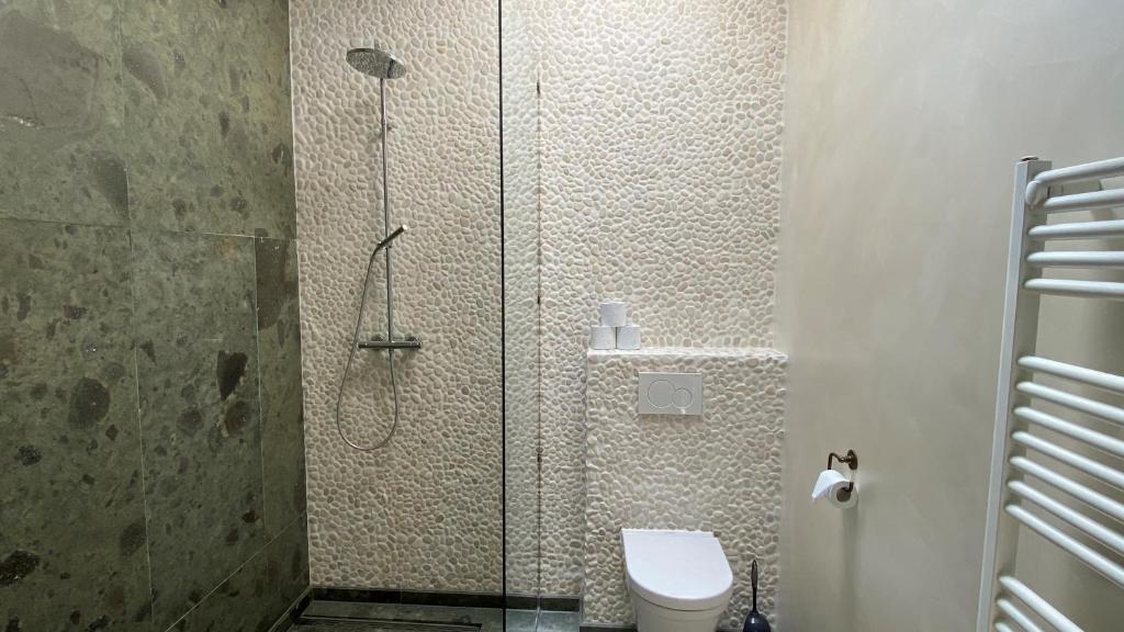 a bathroom with a shower with a toilet and a glass door at Het Lichthuis in Zandvoort