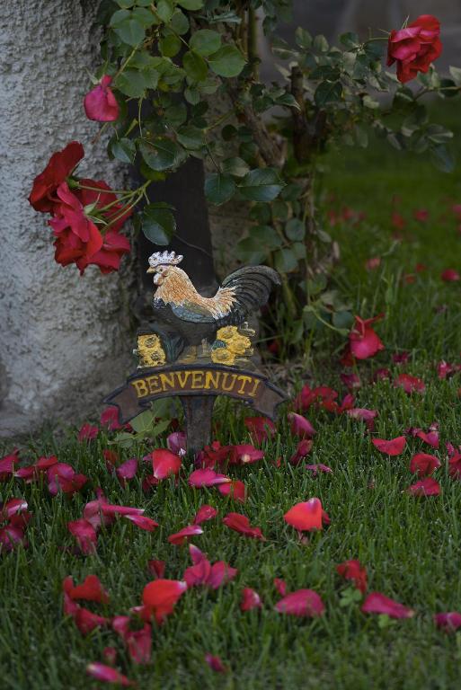Vonkajšia záhrada v ubytovaní Casa Galèt
