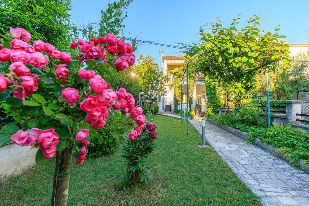 een rij roze rozen in een tuin bij Apartmani Cupar in Poreč