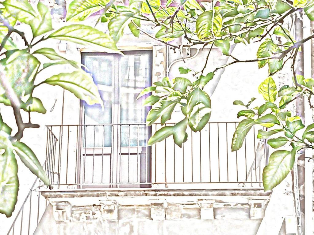Ogród w obiekcie Cortile Pantaleone Holiday Home