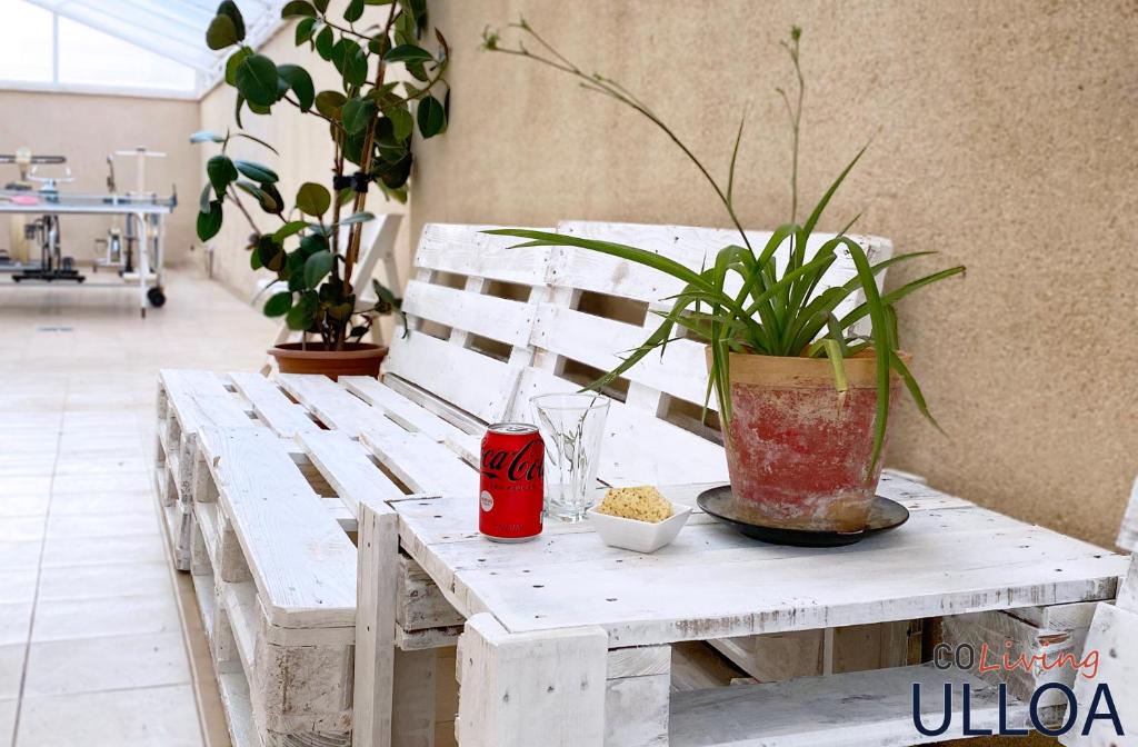 un banc en bois blanc recouvert d'une plante en pot dans l'établissement CoLiving Ulloa, à Reus