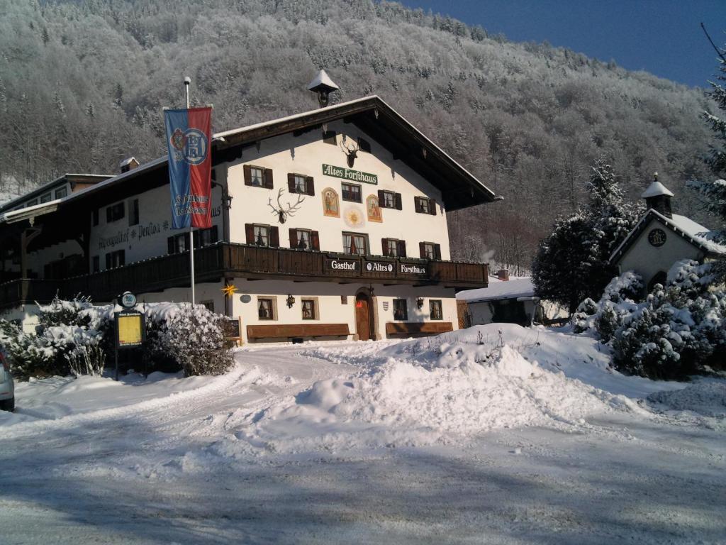 Gasthof Altes Forsthaus v zimě