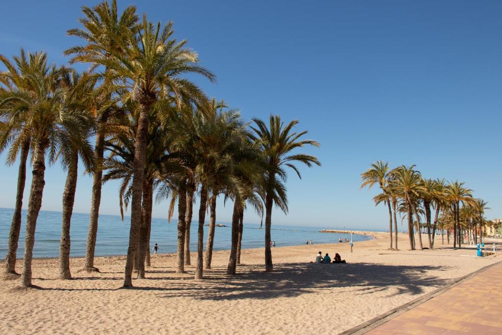 Apartamento In Front Of The Beach Primera Linea De Playa ...