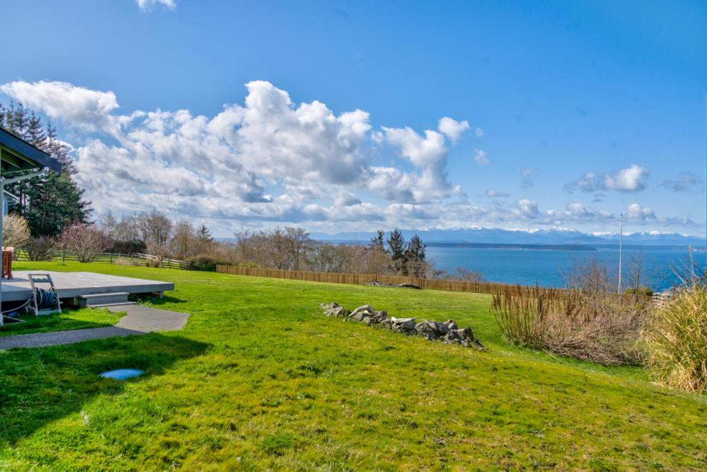 a herd of sheep walking in a grass field at @ Marbella Lane - Waterfront Studio Whidbey Island in Coupeville