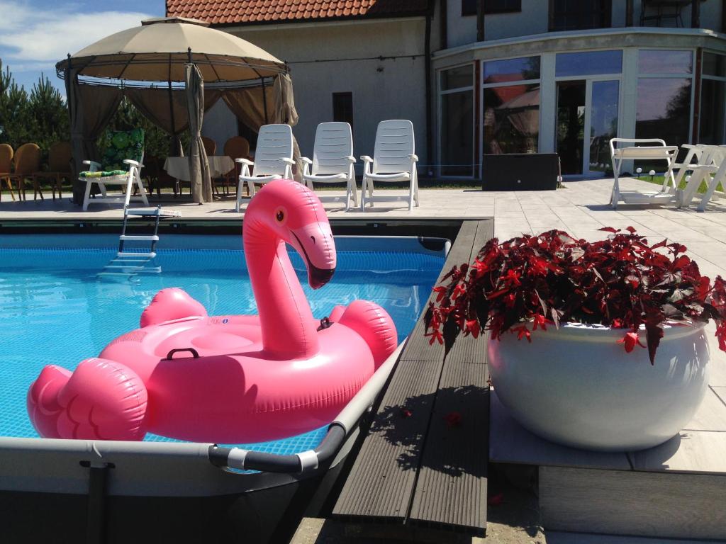 un flamingo gonflable rose dans une piscine dans l'établissement Willa Puńsk z basenem nad jeziorem, à Puńsk