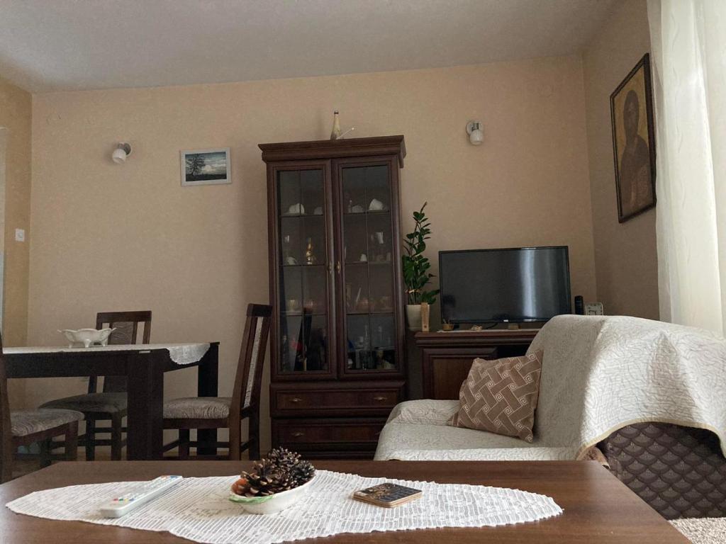apartman Mara في موكرا غورا: غرفة معيشة مع أريكة وتلفزيون