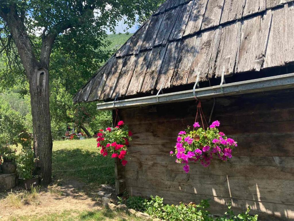 Zahrada ubytování apartman Mara