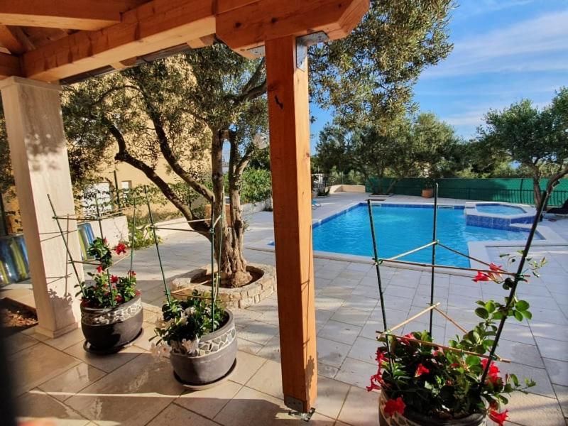 a patio with three potted plants next to a pool at Apartments and Rooms Rogić (Karlo) in Sveti Petar