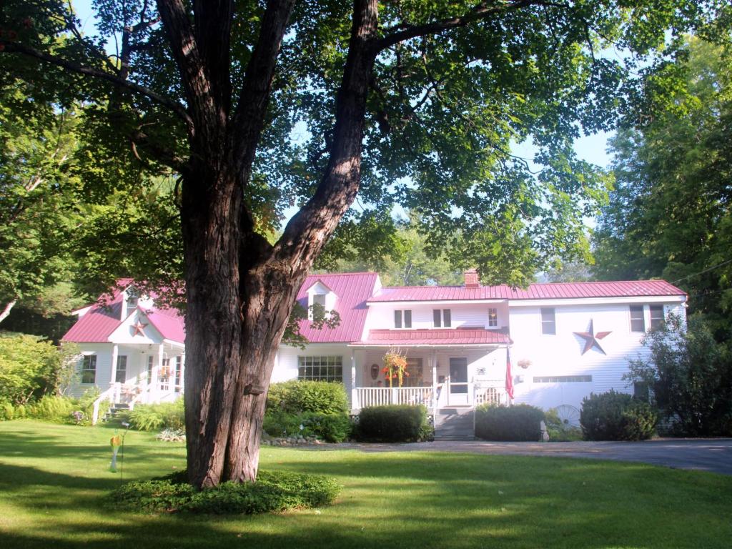 Buttonwood Inn on Mount Surprise في نورث كونويه: منزل أبيض كبير مع شجرة في الفناء