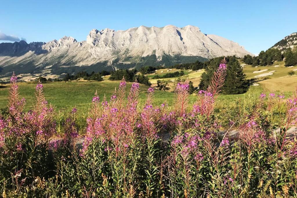 a field of flowers with a mountain in the background at Magnifique appartement à la Joue du Loup in Le Dévoluy