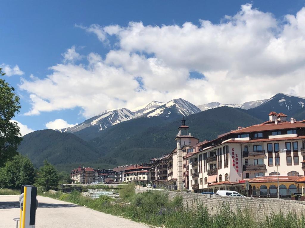a view of a town with mountains in the background at GONDOLAs LODGE in Bansko