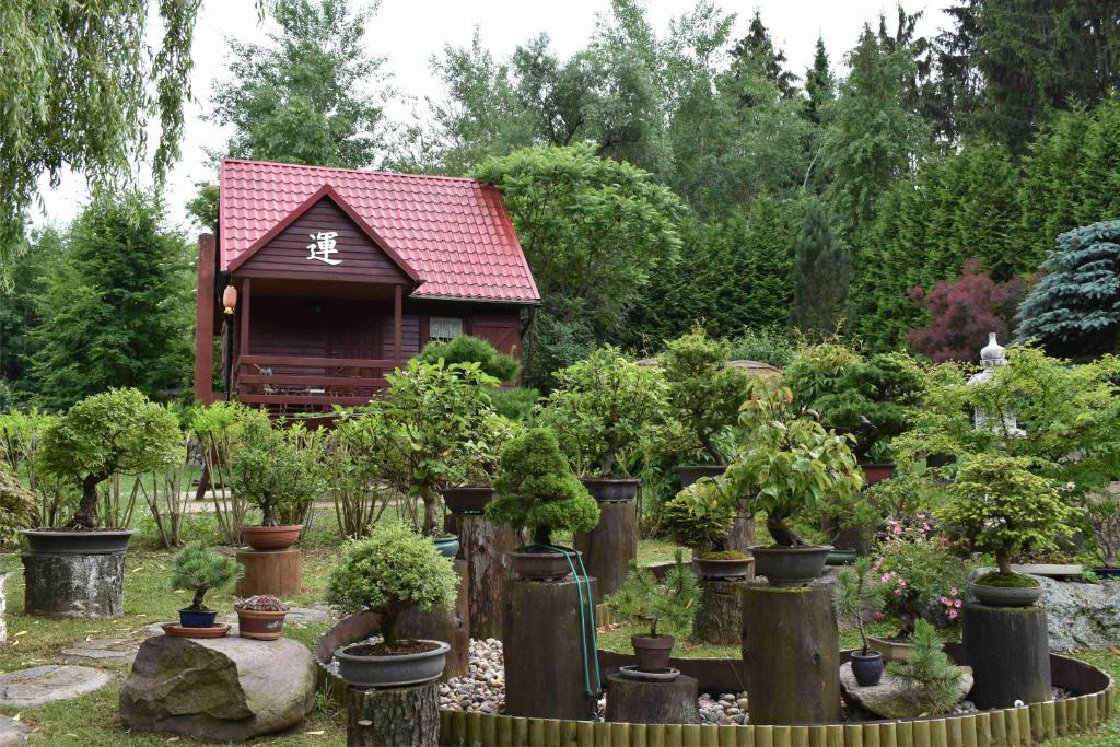 a garden with potted trees and a small house at Ogród Shinrin Yoku Odpoczynek w Lesie in Srokowo