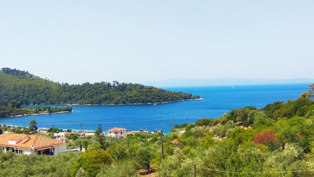 een uitzicht op een grote hoeveelheid water bij Skalopati Studios & Villa in Panormos Skopelos