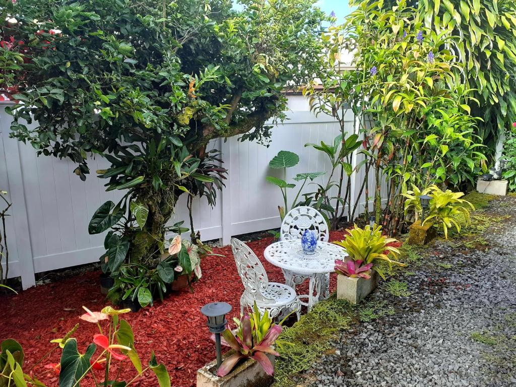 Zahrada ubytování Paradise Cottage at Anthurium Hale