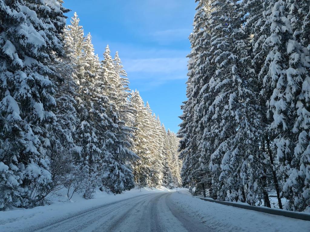 Chalet-Beskydy v zimě