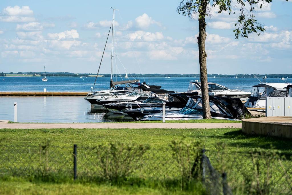 Príroda v okolí apartmánu