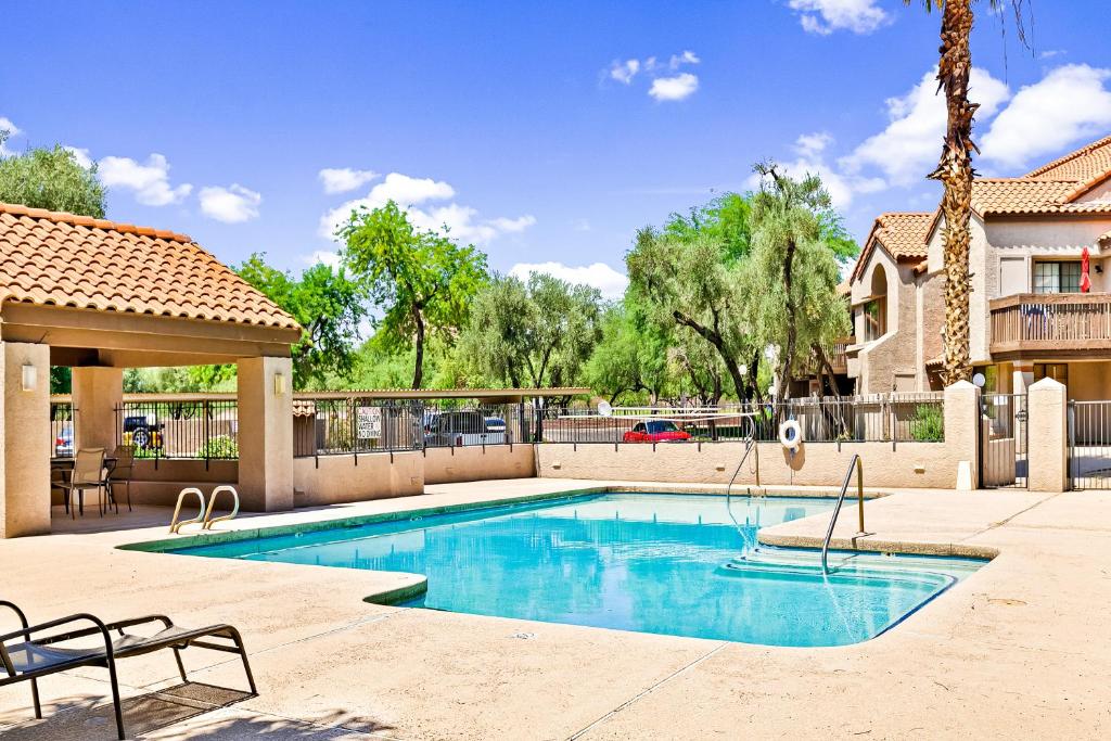 a swimming pool in a yard with a giraffe at Buck's Bunkhouse in Tempe