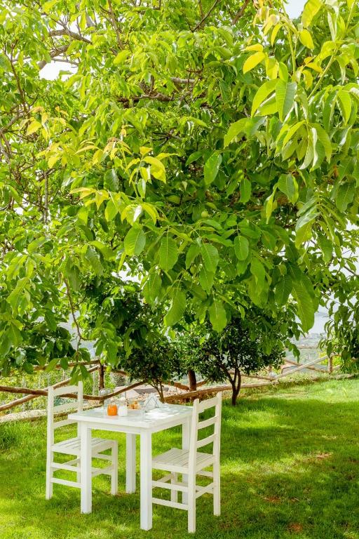 Jardín al aire libre en Alex Boutique Hotel