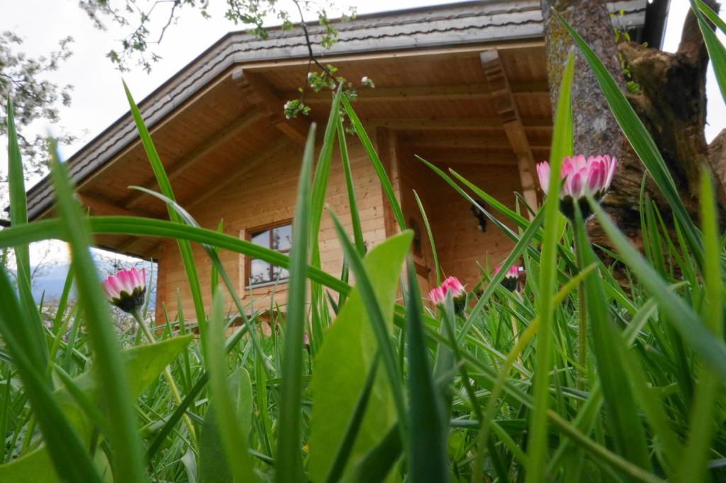 Zahrada ubytování Ferienhaus Mandlhof