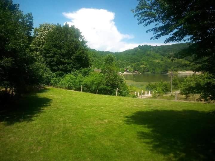 ein grünes Gras mit einem See und Bäumen in der Unterkunft Cabana Elyana Mraconia in Eşelniţa