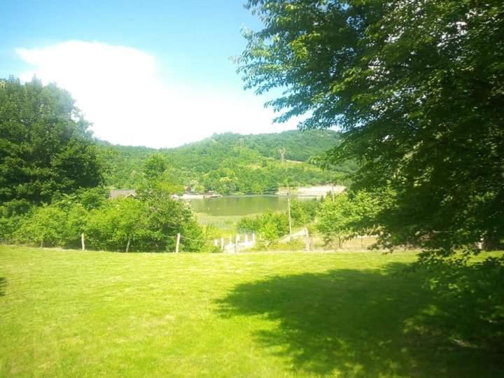 a field of green grass with a lake in the background at Cabana Elyana Mraconia in Eşelniţa